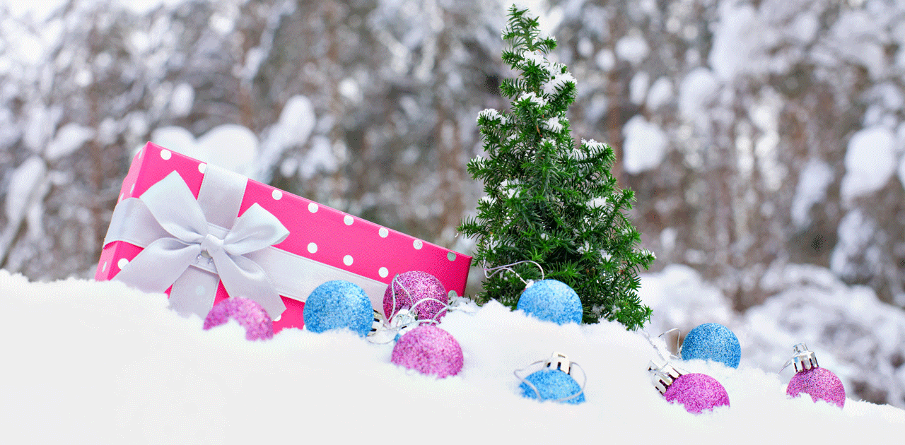 Christmas Tree Pickup Information and Holiday Waste Disposal Tips OnFocus