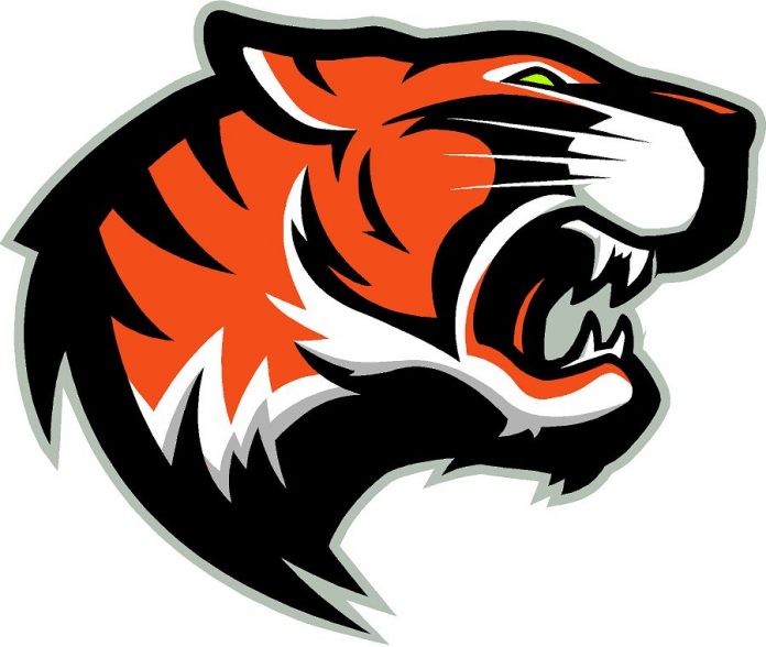 StratfordTigerBig18