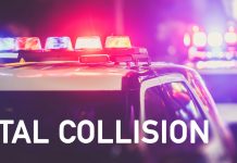 Delaware Leads in Increase of Fatal Vehicle Collisions, While Hawaii Shows Remarkable Decrease fatal collision