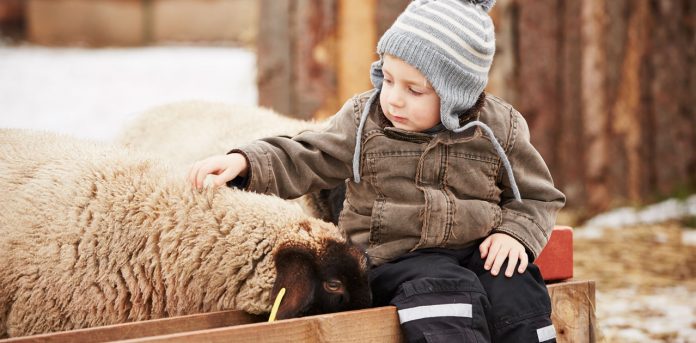 kid-on-farm-agriculture-safety kid on farm with sheep