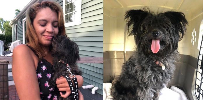 Little-Suzie-Reunion