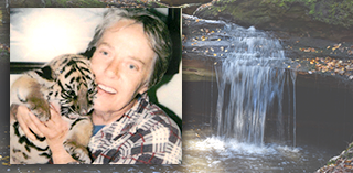 Mary_Walsh Mary K. Walsh