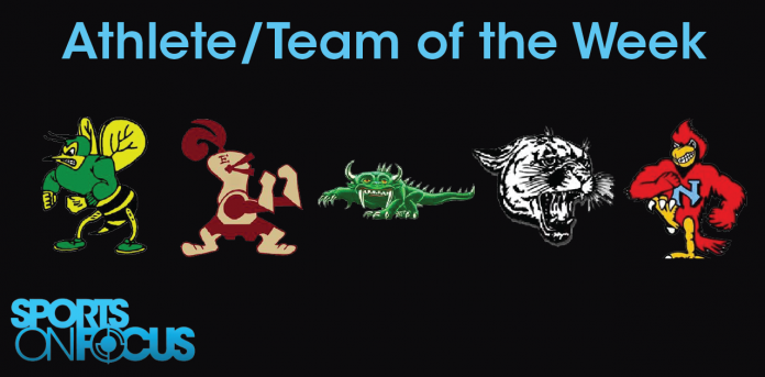 Team of the Week Nov 14