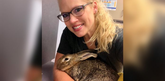 rabbit-rescue-marshfield-wi rabbit rescue marshfield wi