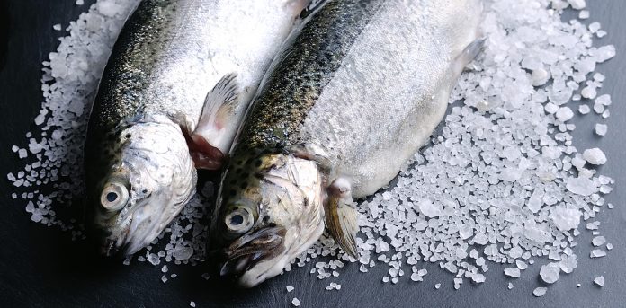 whitefish-poaching whitefish poaching