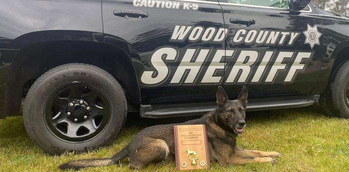 k9-champion k9