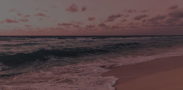 mexico beach shooting