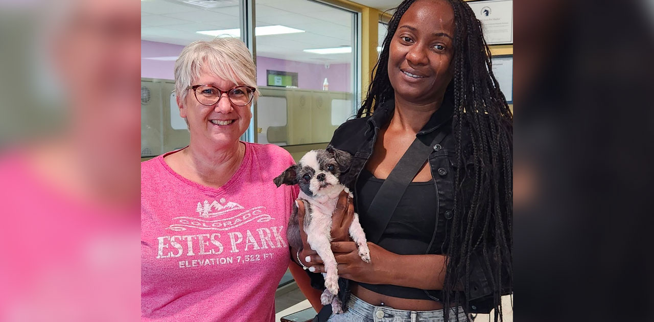 Stolen Dog Reunited With Owner Thanks to Microchip OnFocus