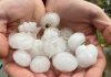 What to do if You Got Hail Damage: Tips from Marshfield Insurance what to do if vehicle has hail damage
