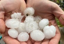 What to do if You Got Hail Damage: Tips from Marshfield Insurance what to do if vehicle has hail damage