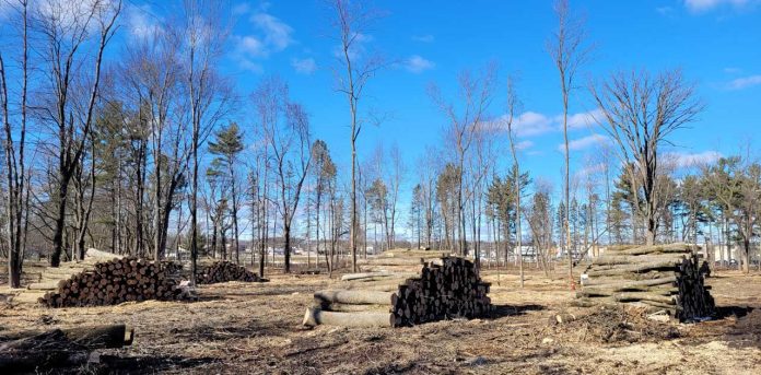 ash logs