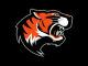 Tigers Split Doubleheader with Loyal, Haupt Strikes Out 10 in Game 1 Rout