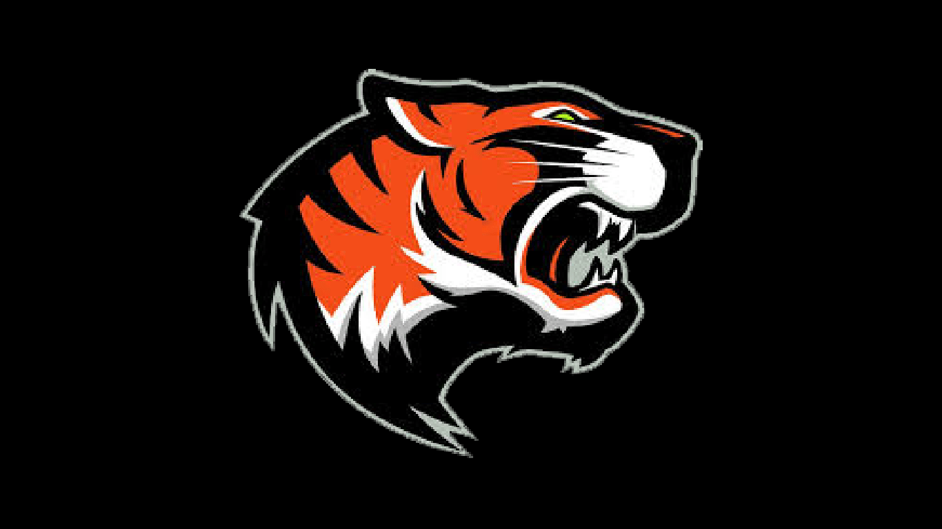 Tigers Split Doubleheader with Loyal, Haupt Strikes Out 10 in Game 1 Rout