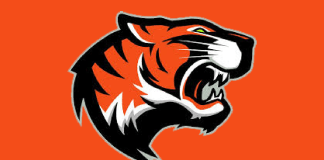 Tigers Walk Off with 5–4 Win Over Waupaca as Berg Shuts Down Warriors in Relief