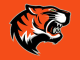 Tigers Walk Off with 5–4 Win Over Waupaca as Berg Shuts Down Warriors in Relief