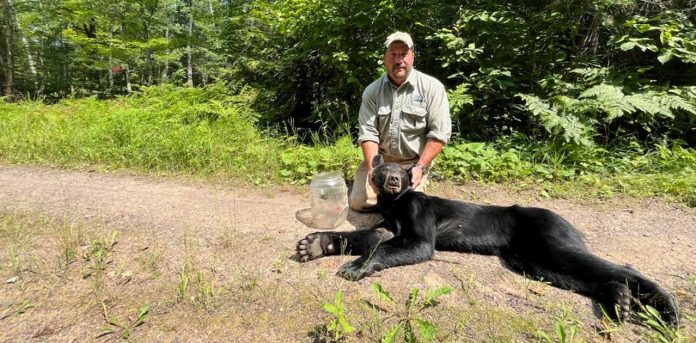black-bear-freed-from-jar black bear freed
