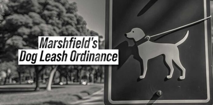 marshfield dog leash ordinance