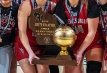 Two Division 3 Sectional Champions Move Up to Division 2 in Girls Basketball Shakeup