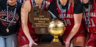 Two Division 3 Sectional Champions Move Up to Division 2 in Girls Basketball Shakeup